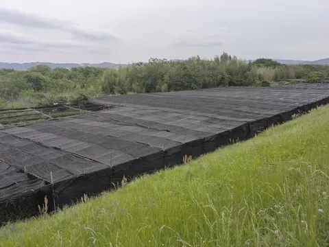 A wide tea field under black shade covers, hills rising behind it