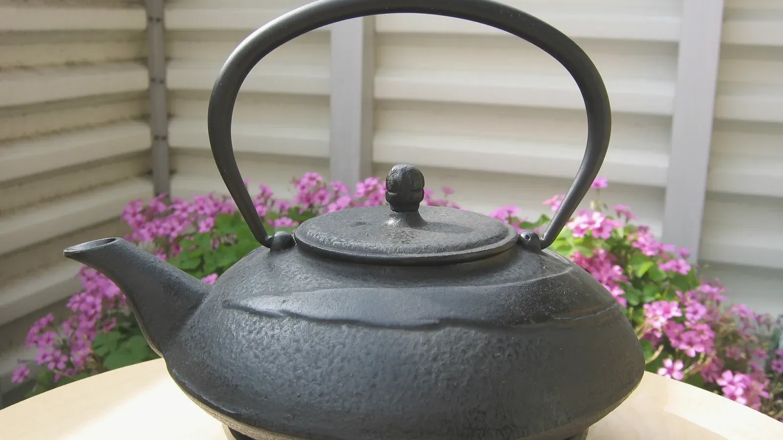 A black cast-iron tetsubin kettle with a fixed handle