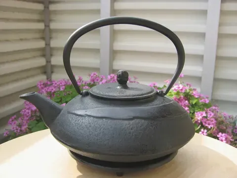 A black cast-iron tetsubin kettle with a fixed handle